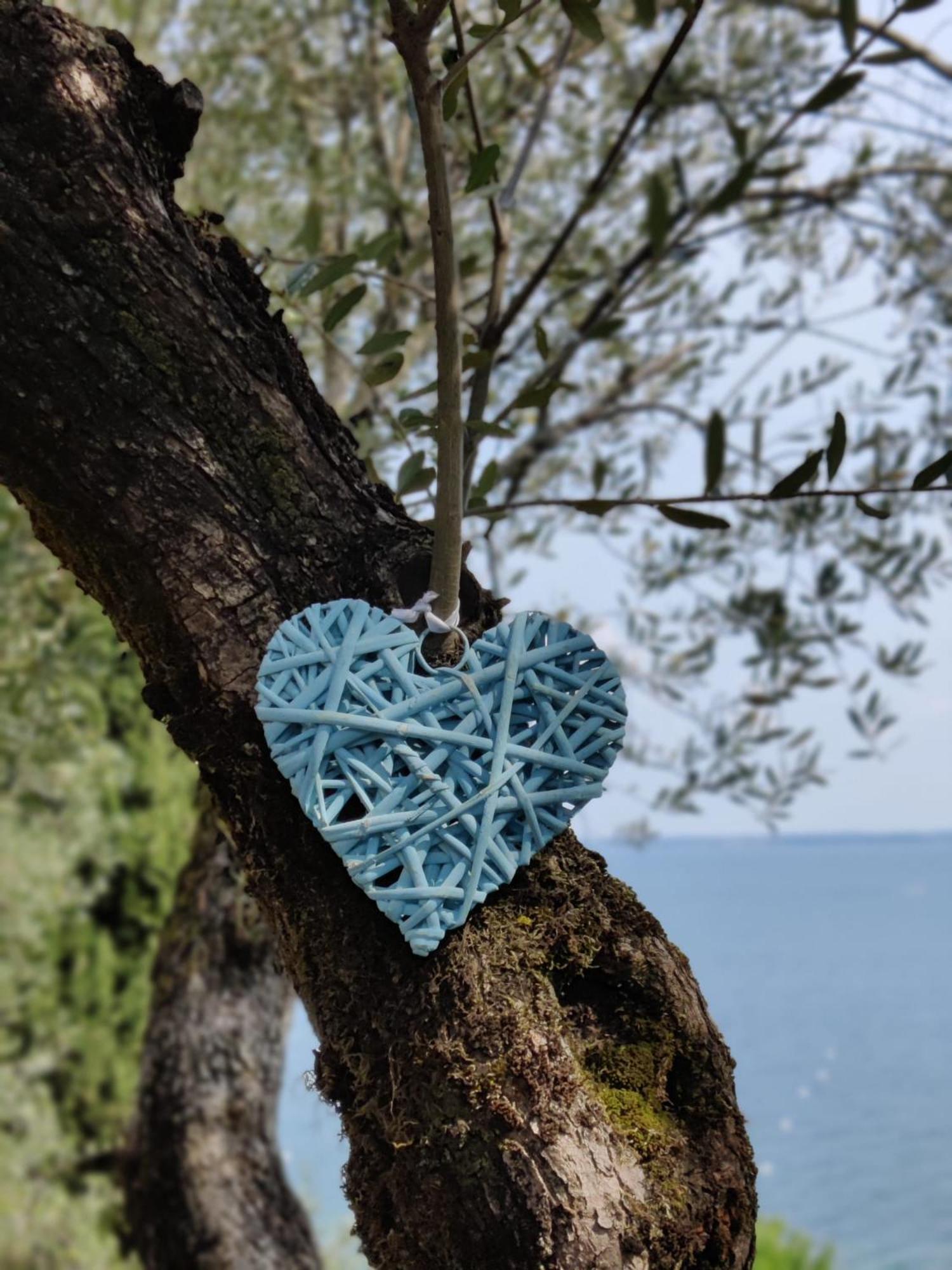 Campeggio Della Colombaia Padenghe sul Garda Luaran gambar