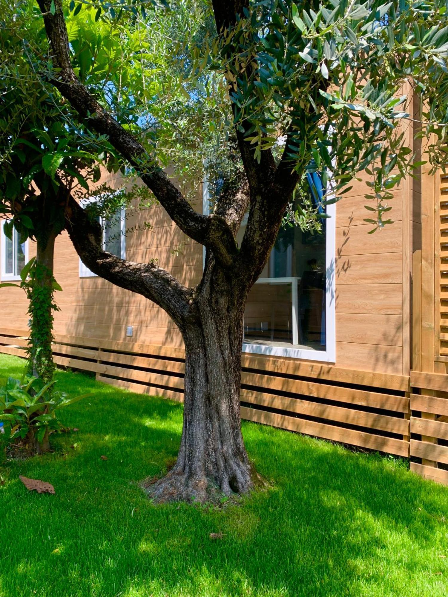 Campeggio Della Colombaia Padenghe sul Garda Luaran gambar